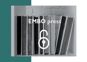 Журналы EMBO Press будут полностью открыты с 2024 г.