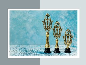 Присуждена премия за вклад в открытое программное обеспечение